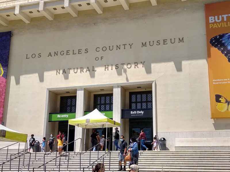 Natural-history-museum-1.2_11zon