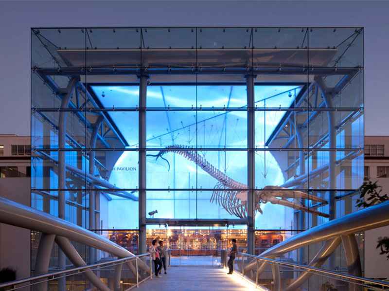 Natural-history-museum-4_11zon