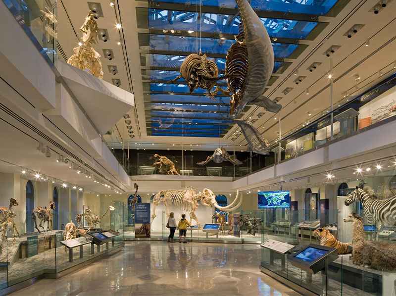 Natural-history-museum-5_11zon