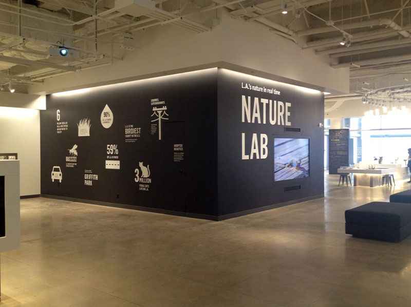 Natural-history-museum-6_11zon